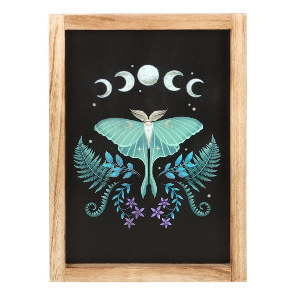 Luna Moth Wooden Framed Wall Art N/A