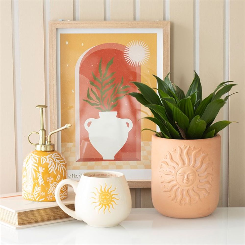 Terracotta Sun Plant Pot N/A