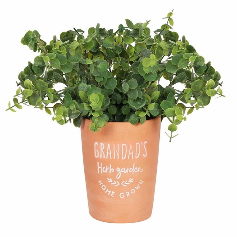 Grandad's Garden Terracotta Plant Pot N/A