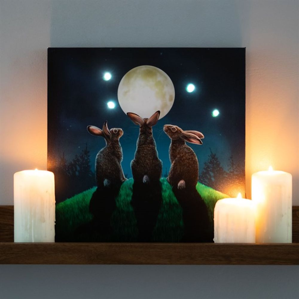 Moon Shadows Light Up Canvas Plaque by Lisa Parker N/A