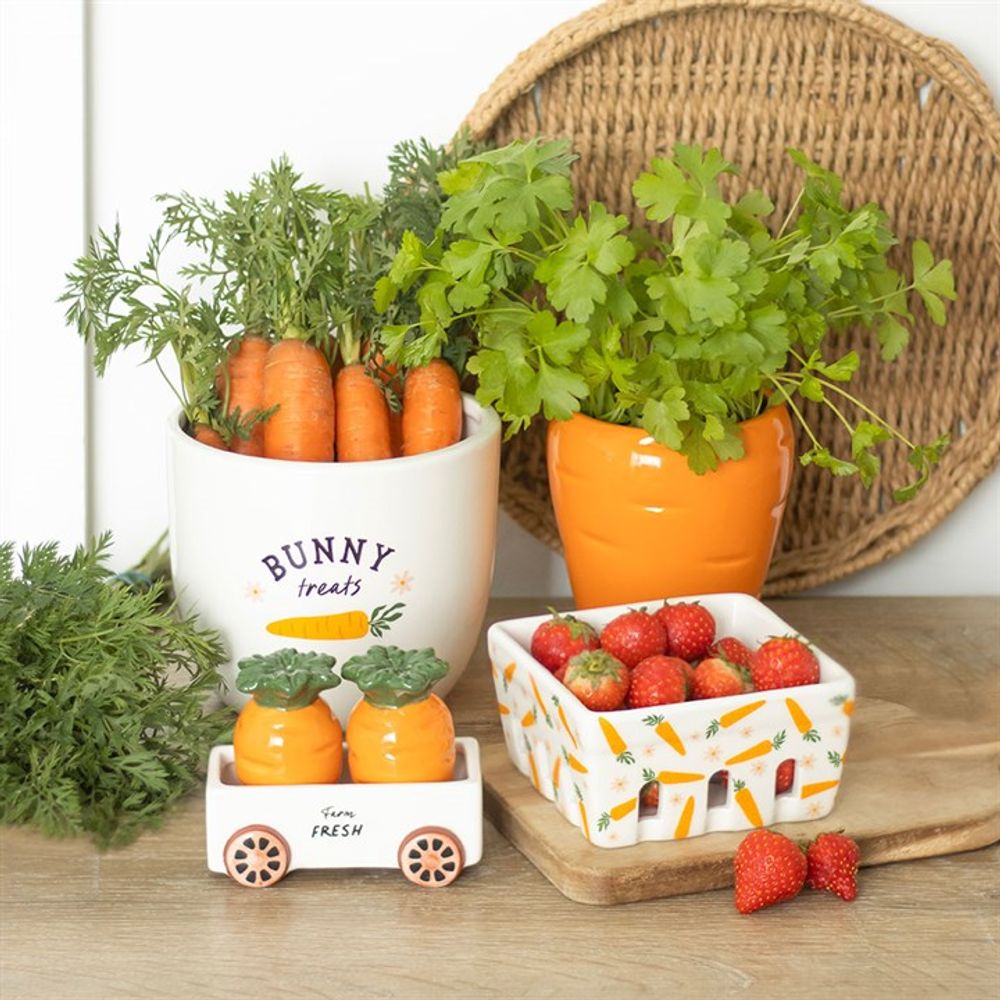 Carrot Shaped Plant Pot with Parsley Seed Balls N/A