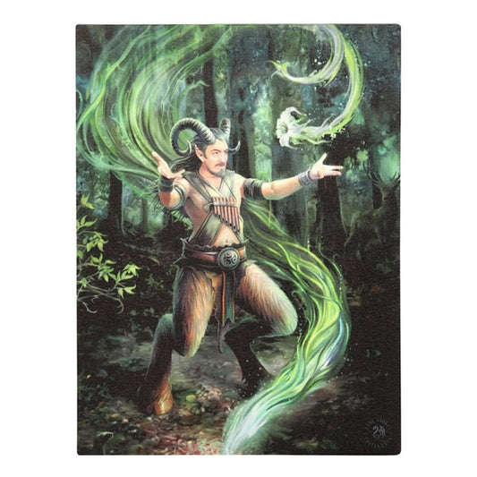 19x25cm Earth Element Wizard Canvas Plaque by Anne Stokes N/A