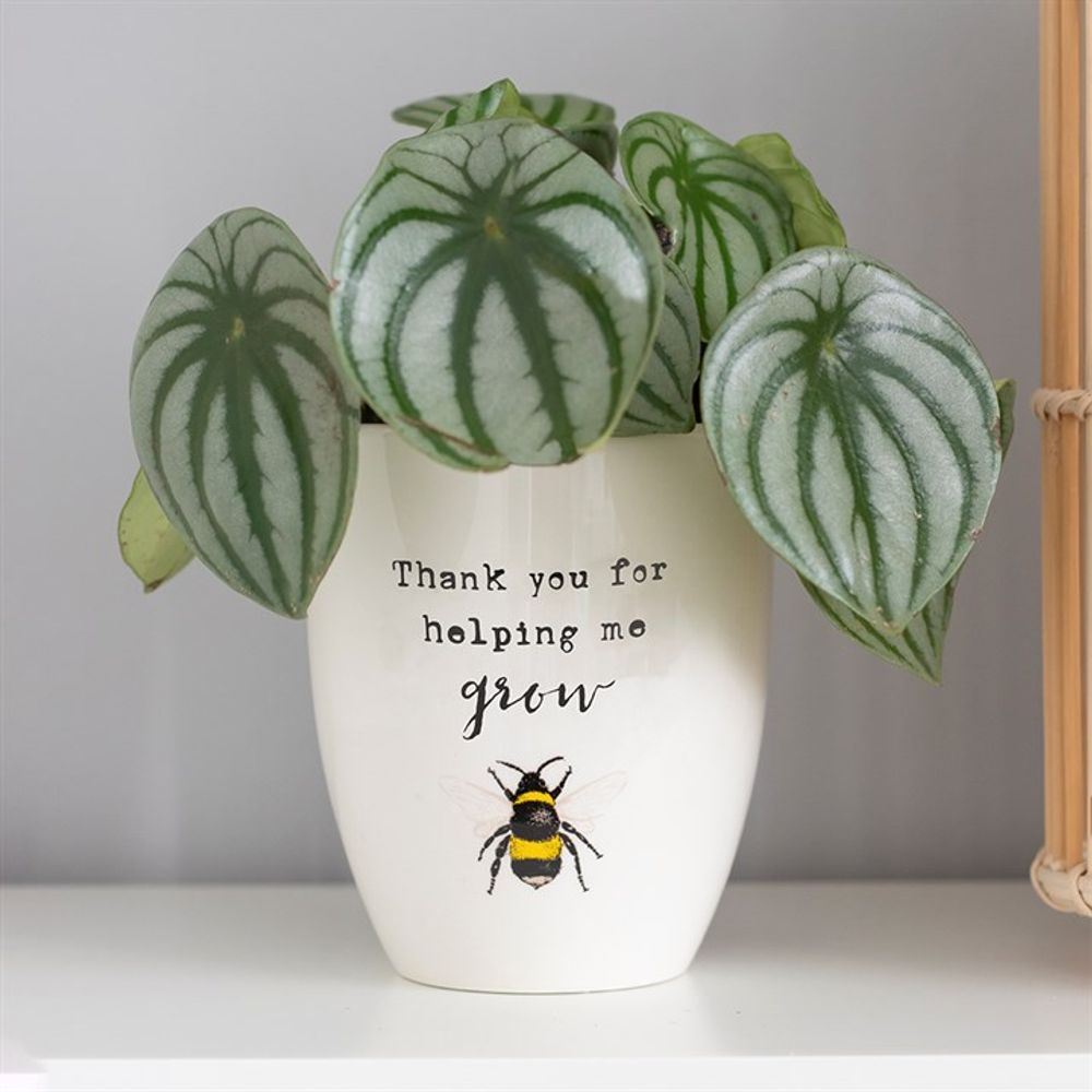 Thank You For Helping Me Grow Ceramic Plant Pot N/A