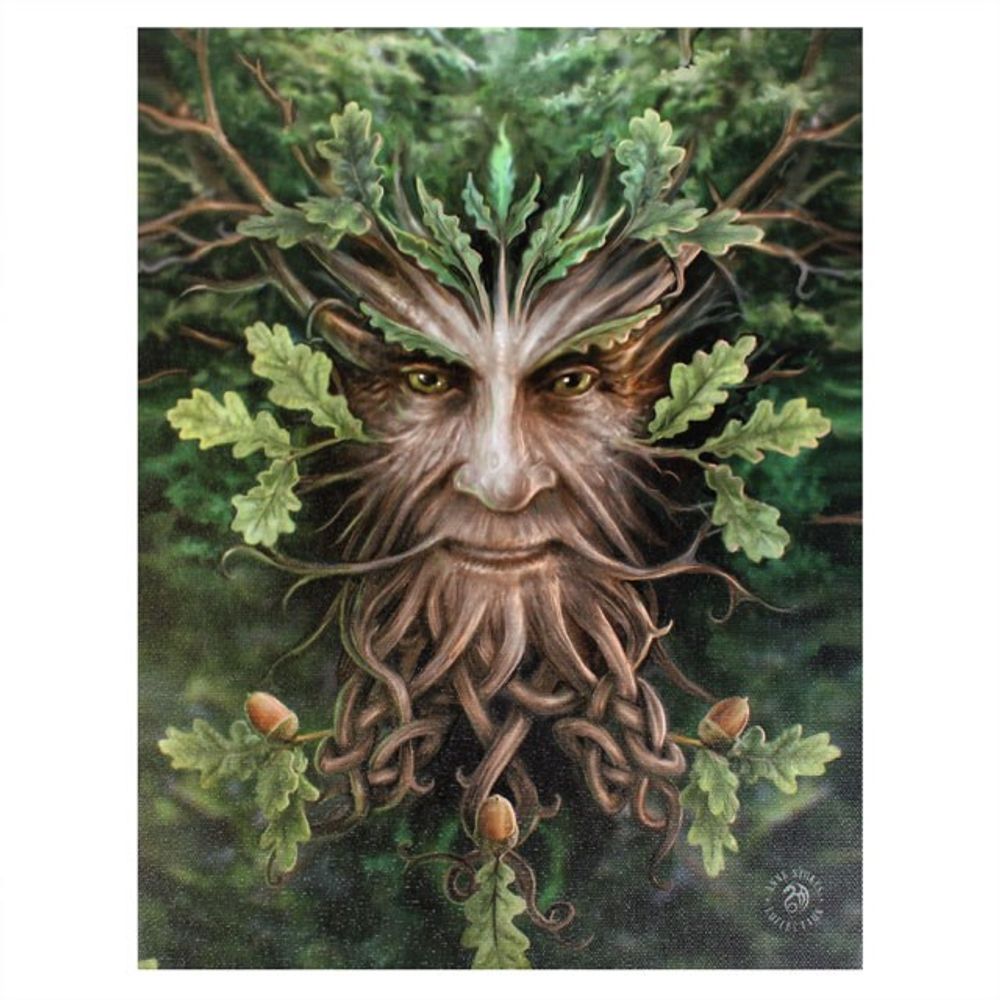 19x25cm Oak King Canvas Plaque by Anne Stokes N/A