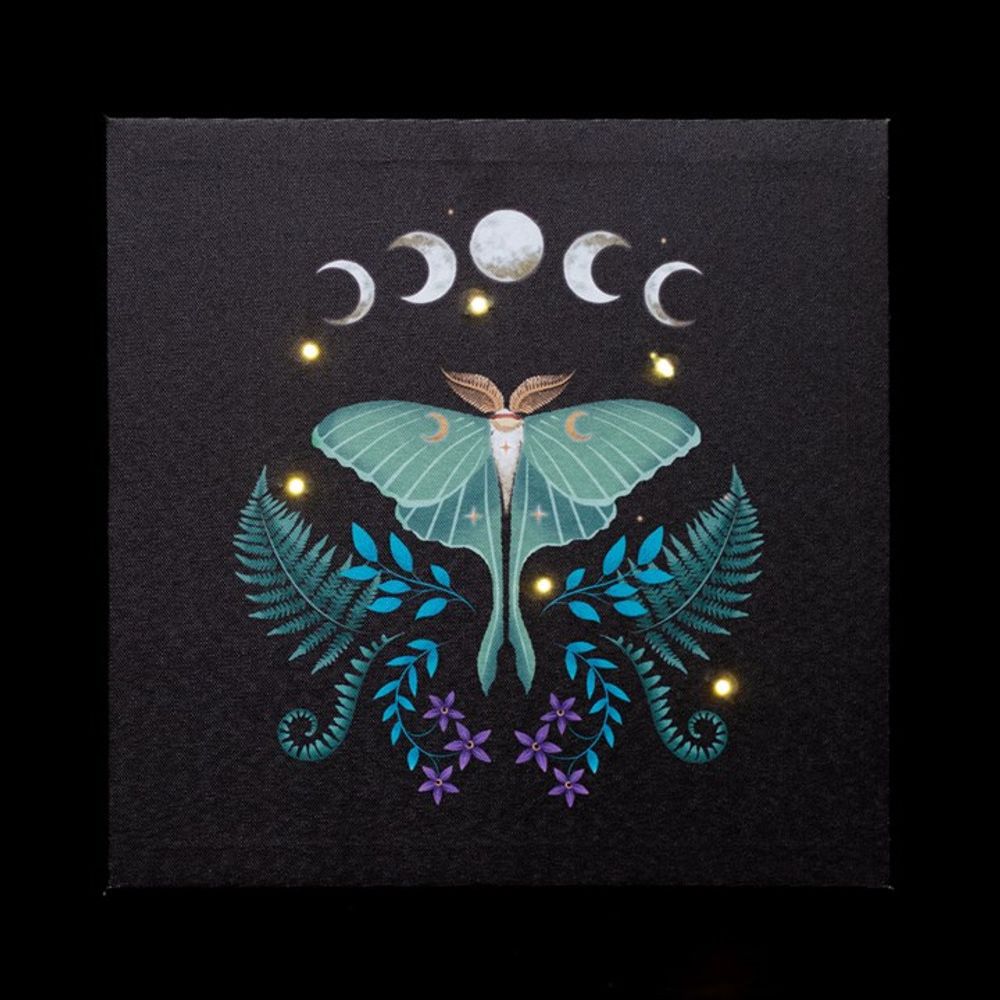 Luna Moth Light Up Canvas Plaque N/A