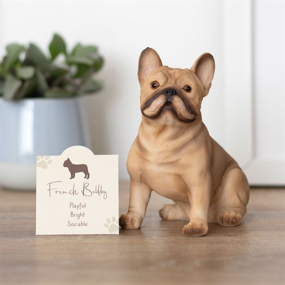 French Bull Dog Ornament N/A