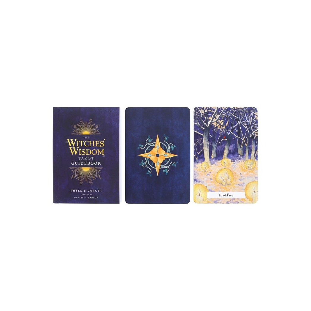 The Witches' Wisdom Tarot Cards Standard Edition N/A