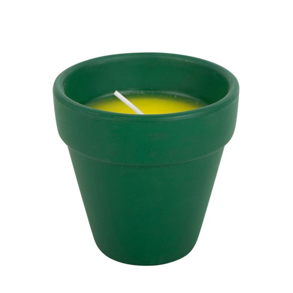 Thank You for Helping Me Grow Citronella Candle N/A