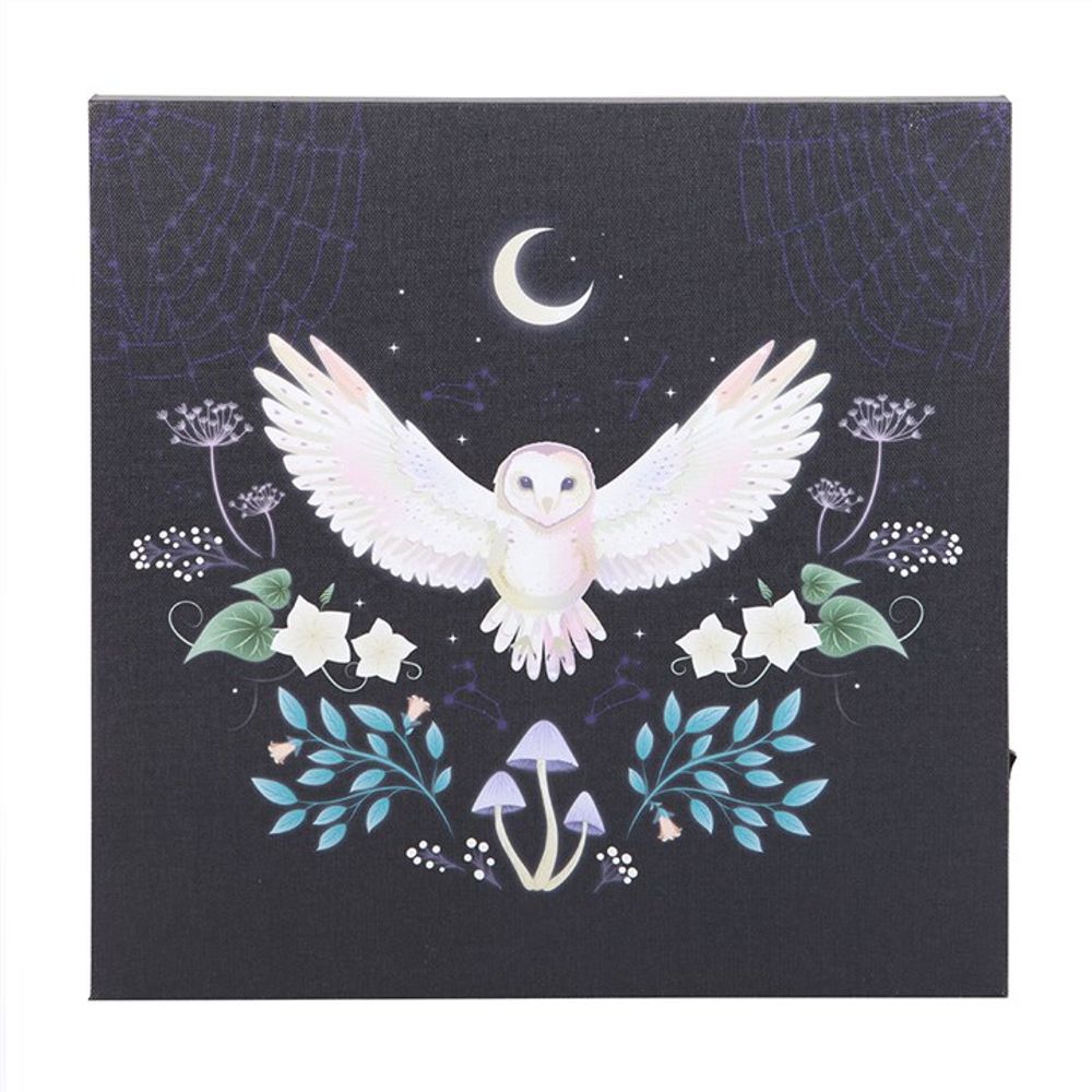 Midnight Moth Light Up Canvas Plaque N/A