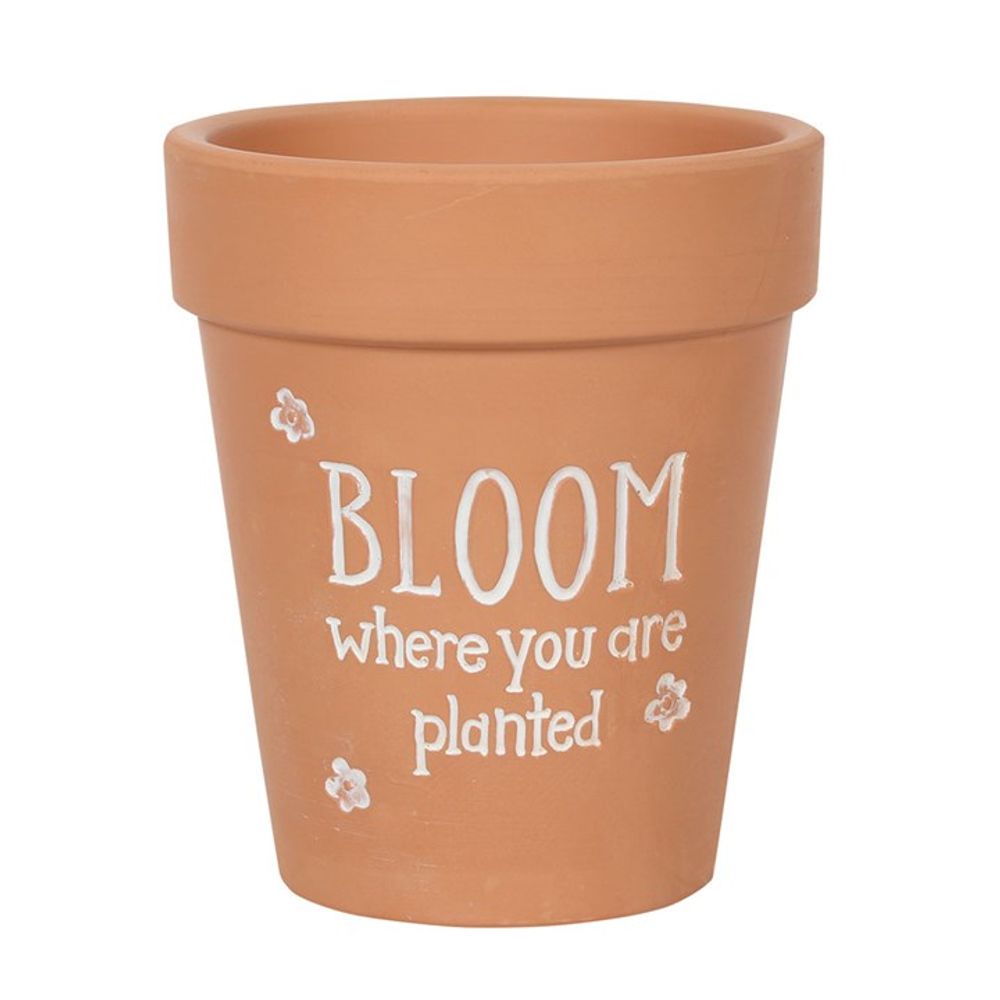 Bloom Where You Are Planted Terracotta Plant Pot N/A