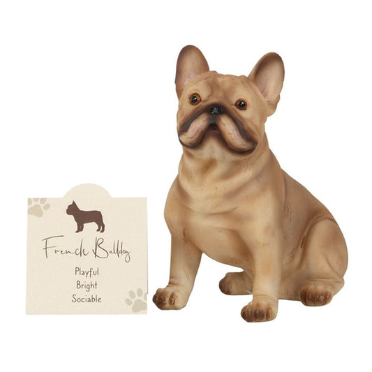 French Bull Dog Ornament N/A