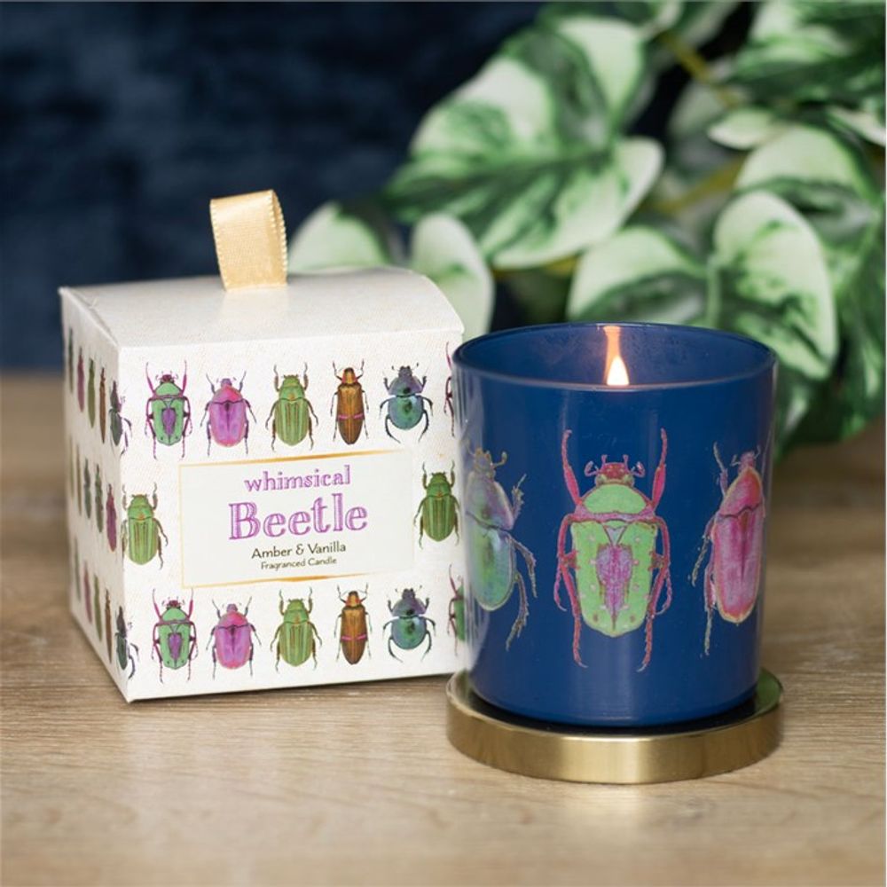 Blue Beetle Candle N/A