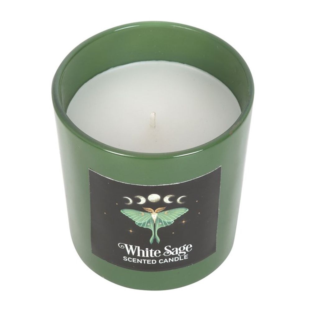 Luna Moth White Sage Candle N/A