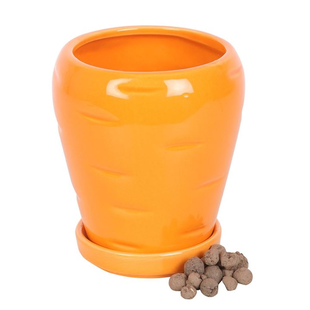 Carrot Shaped Plant Pot with Parsley Seed Balls N/A