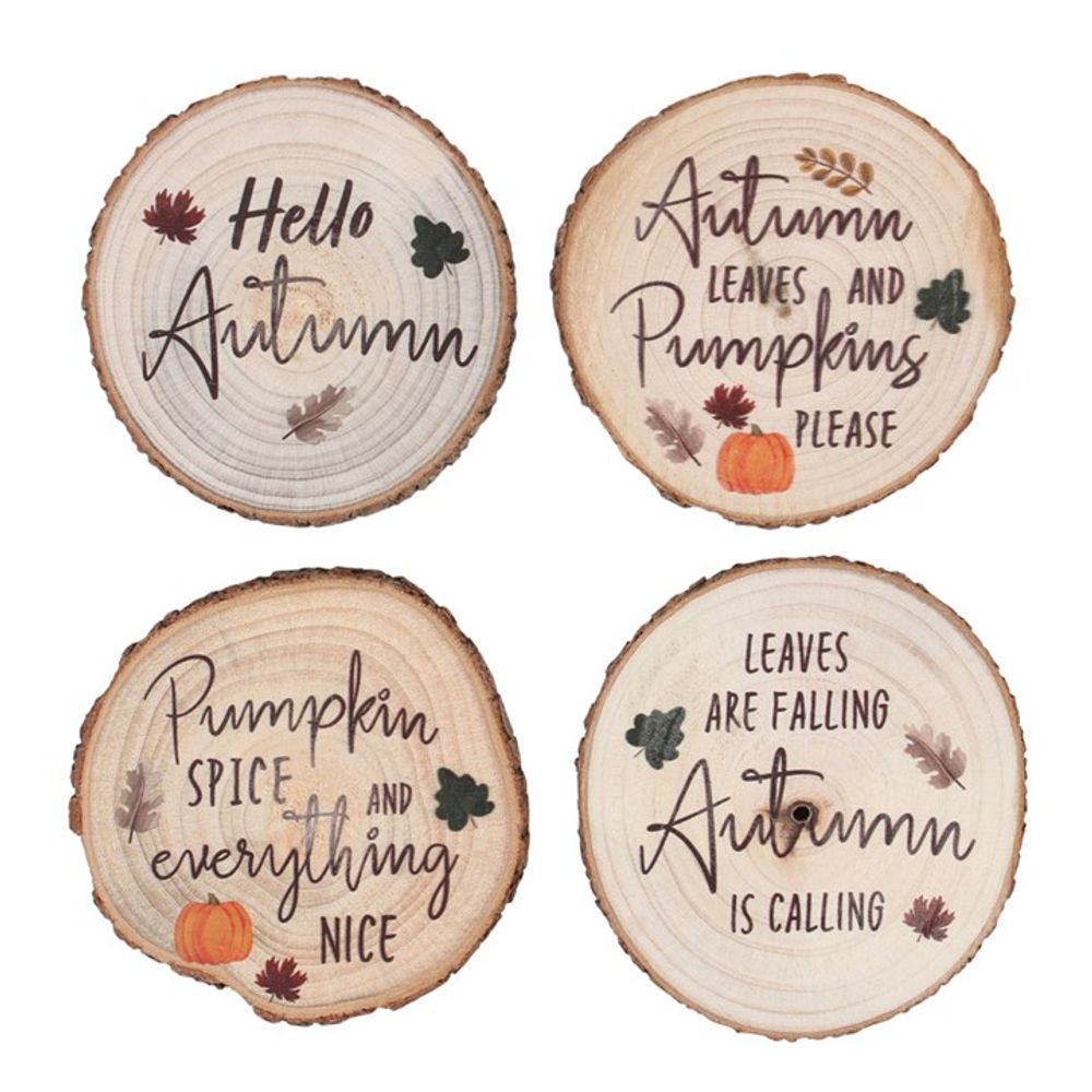 Hello Autumn Wood Slice Coaster Set N/A