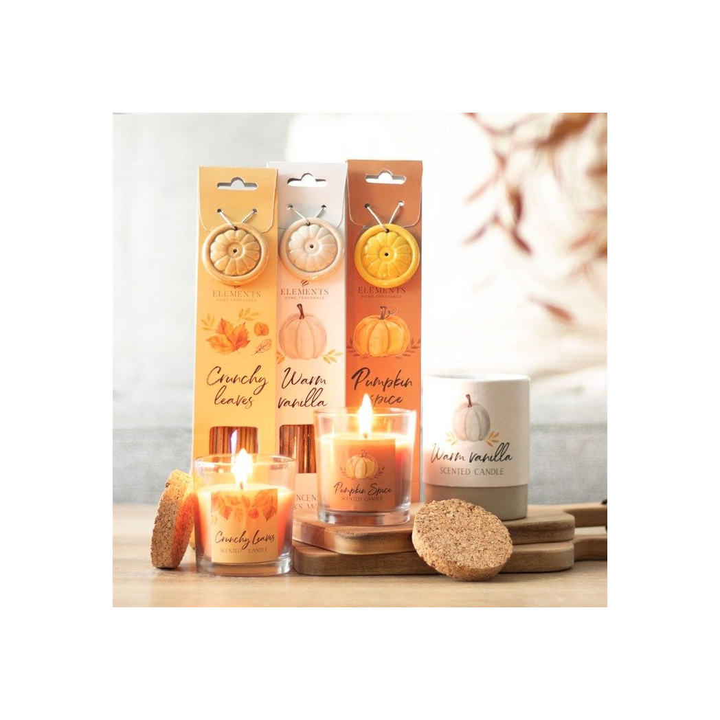 Warm Vanilla Autumn Candle N/A