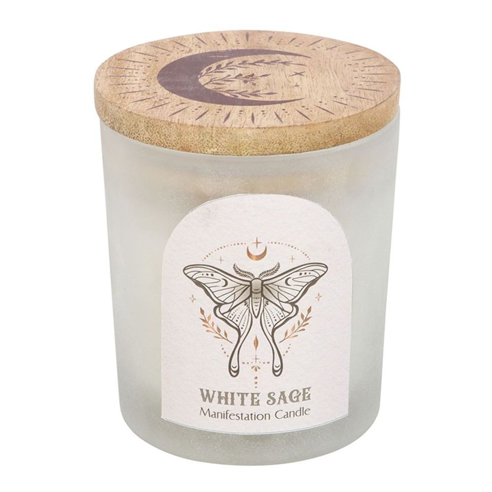 Luna Moth Manifestation Candle with Clear Quartz Crystals N/A