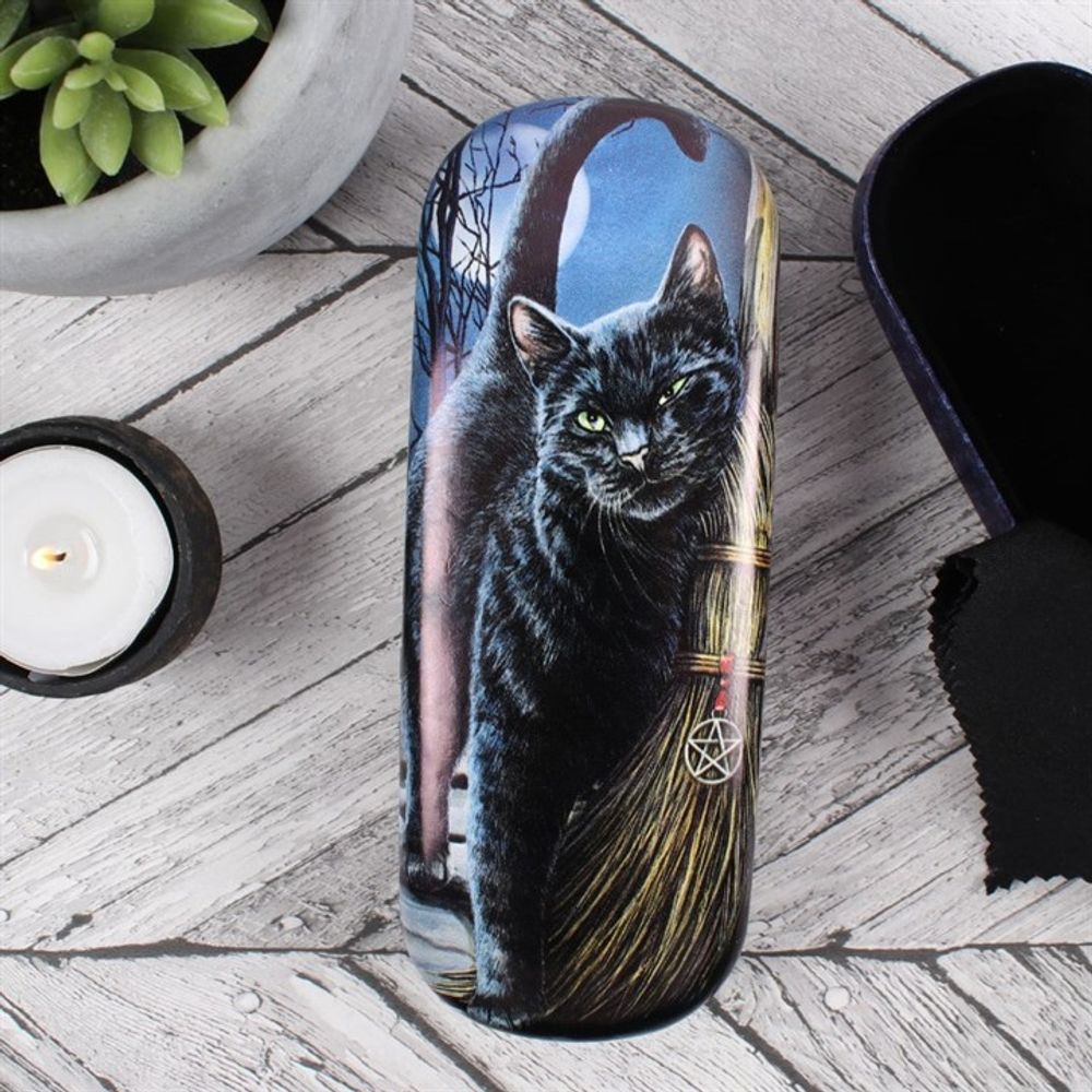 Brush With Magick Glasses case By Lisa Parker N/A