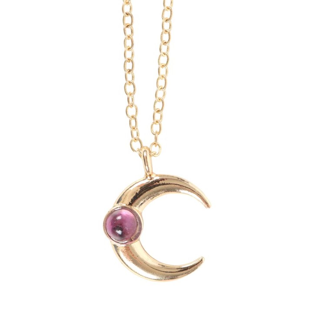 The Moon Celestial Amethyst Necklace Card N/A