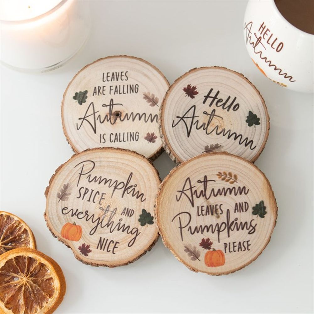 Hello Autumn Wood Slice Coaster Set N/A