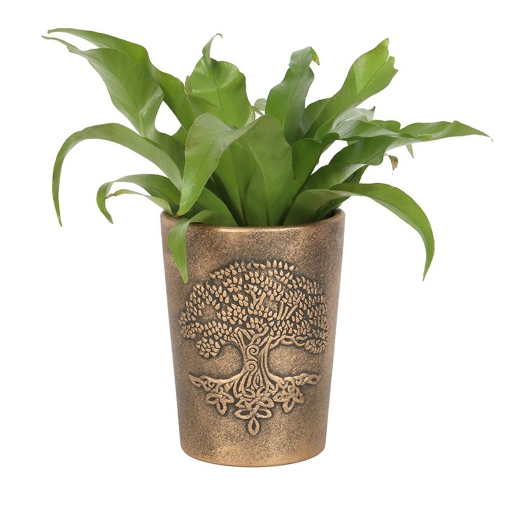 Tree of Life Bronze Terracotta Plant Pot by Lisa Parker N/A