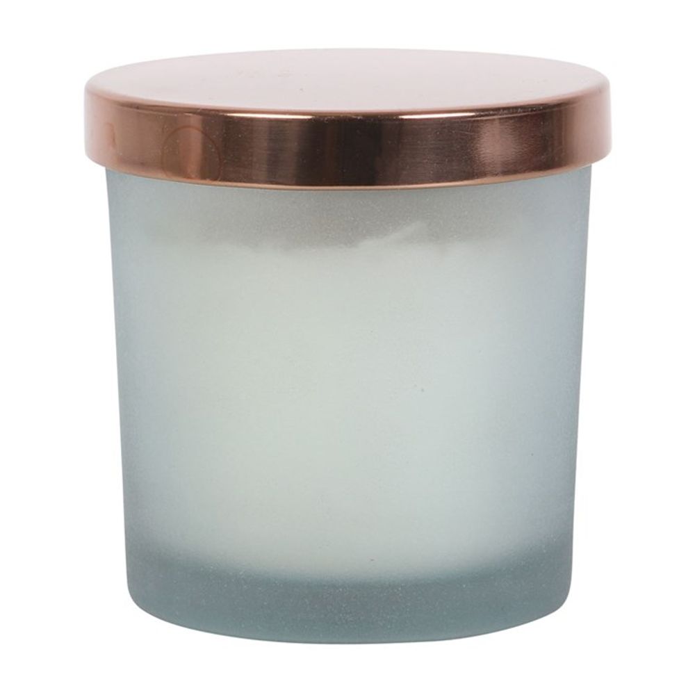 Positive Energy White Sage Crystal Chip Candle N/A