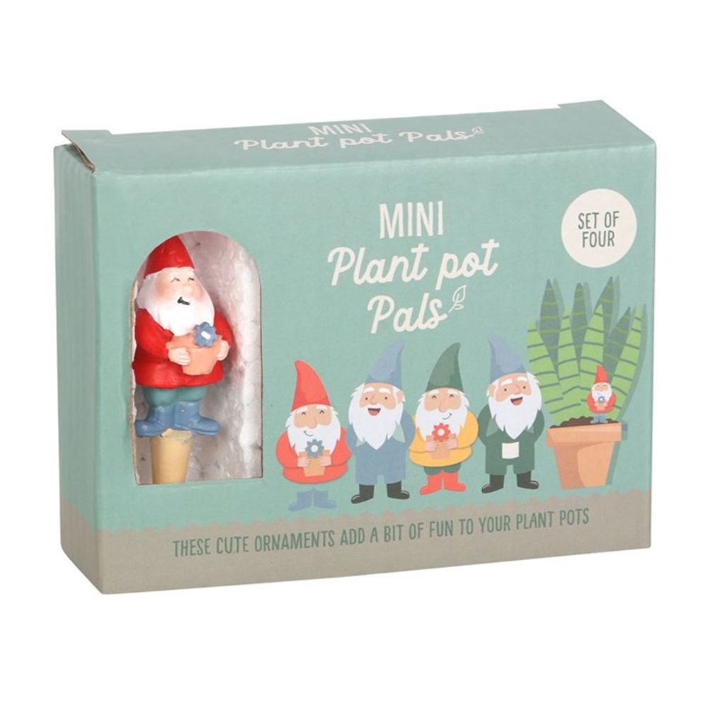 Set of 4 Mini Gnome Plant Pot Pals N/A