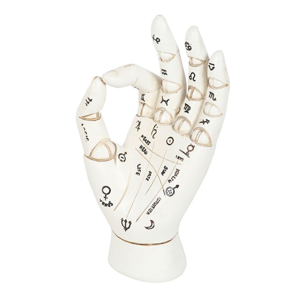 White Palmistry Hand Ornament N/A