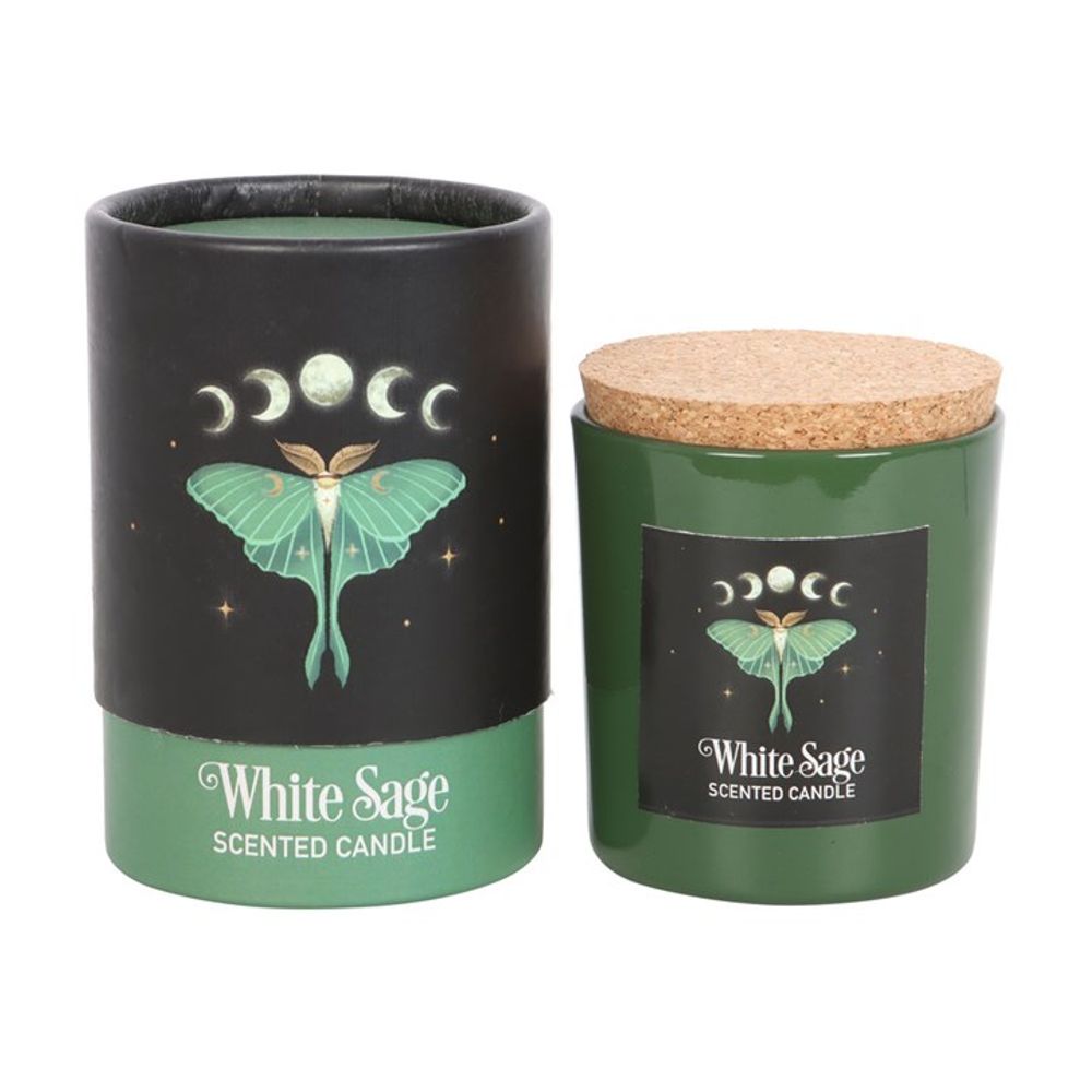 Luna Moth White Sage Candle N/A