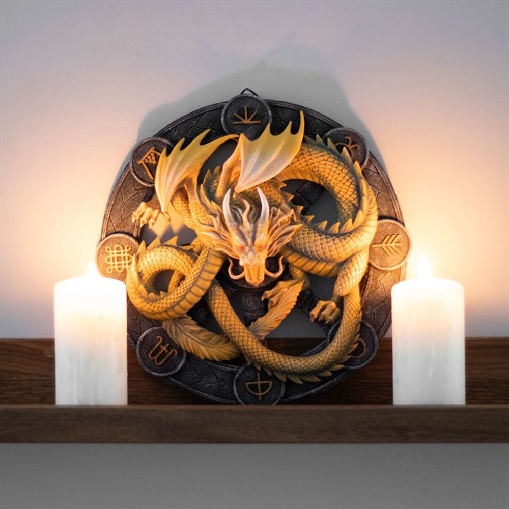 Imbolc Dragon Resin Wall Plaque by Anne Stokes N/A