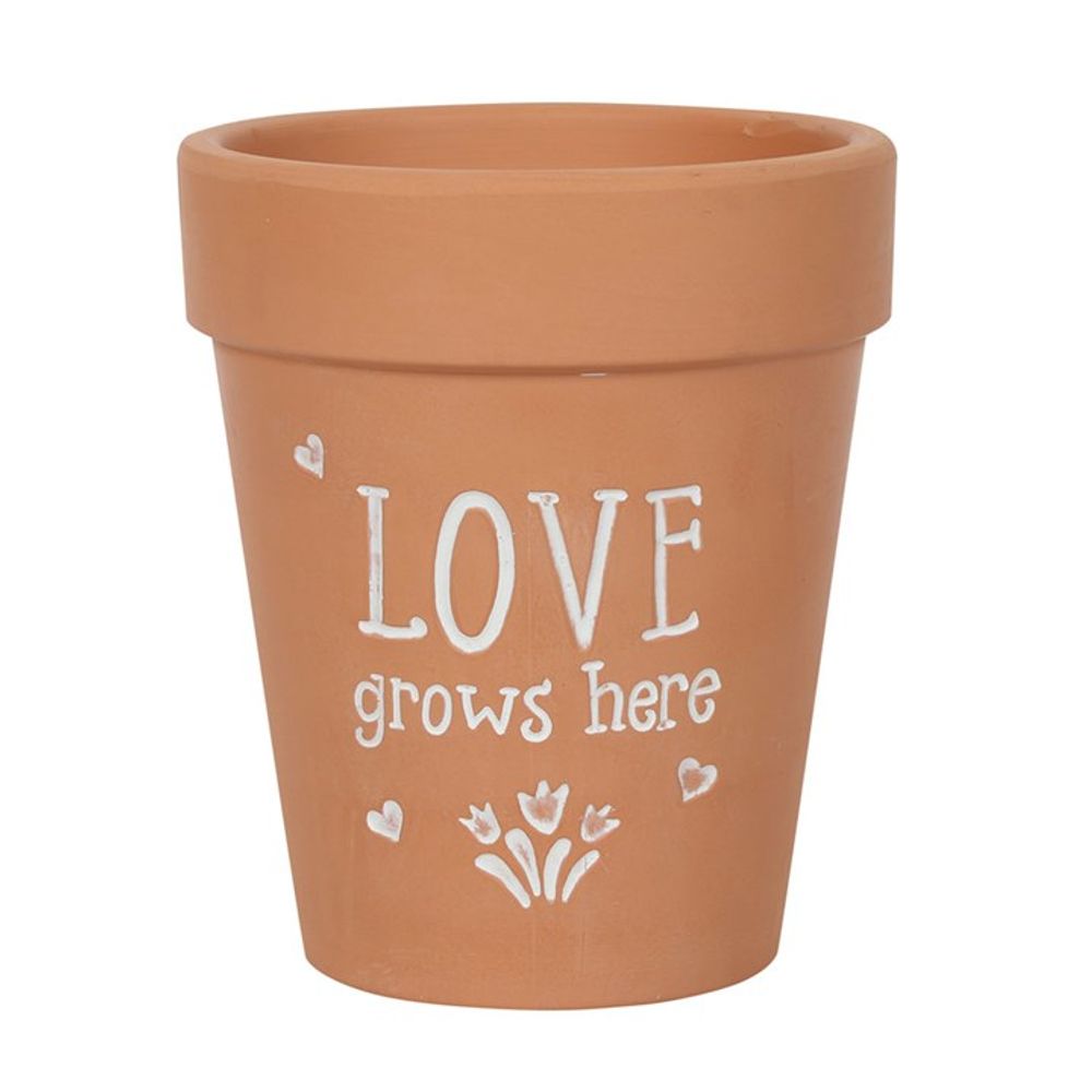 Love Grows Here Terracotta Plant Pot N/A