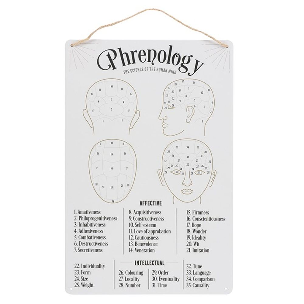 Phrenology Map Metal Sign N/A