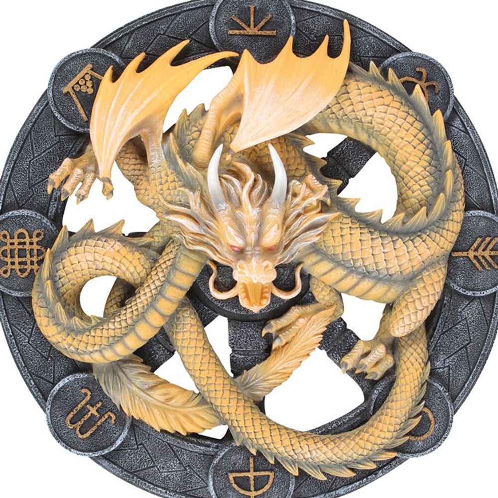 Imbolc Dragon Resin Wall Plaque by Anne Stokes N/A