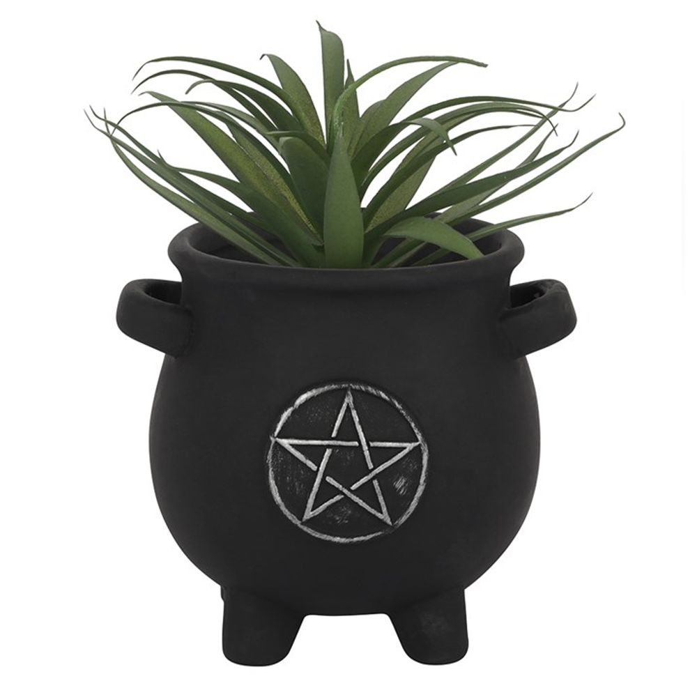 Pentagram Cauldron Plant Pot N/A