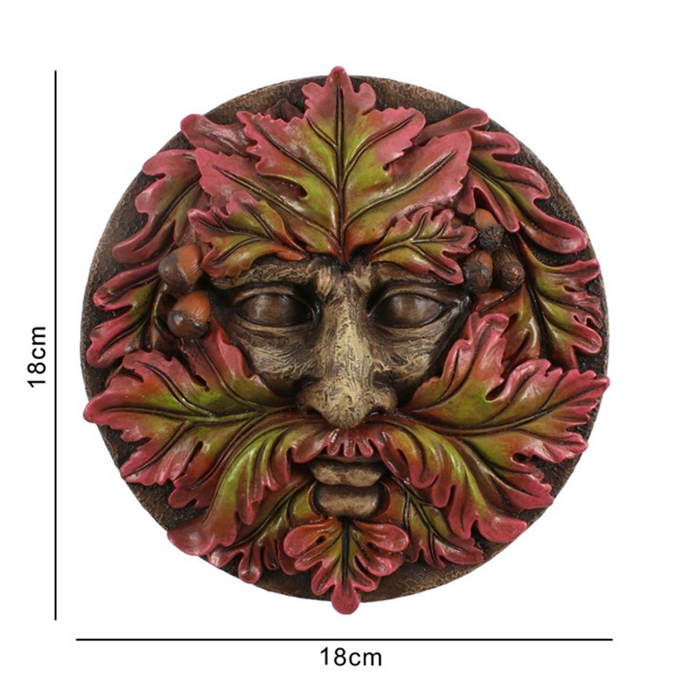 Green Man Round Face Plaque N/A