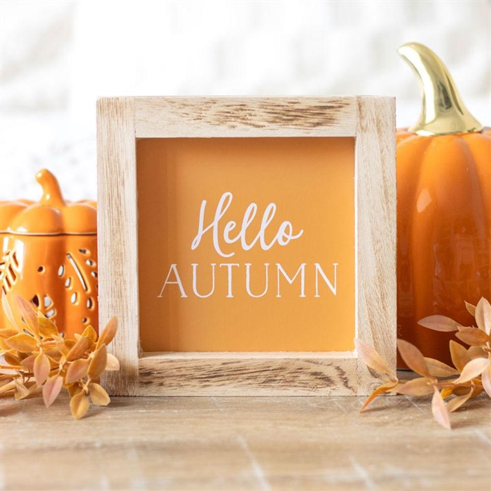 Orange Hello Autumn Wooden Frame Sign N/A