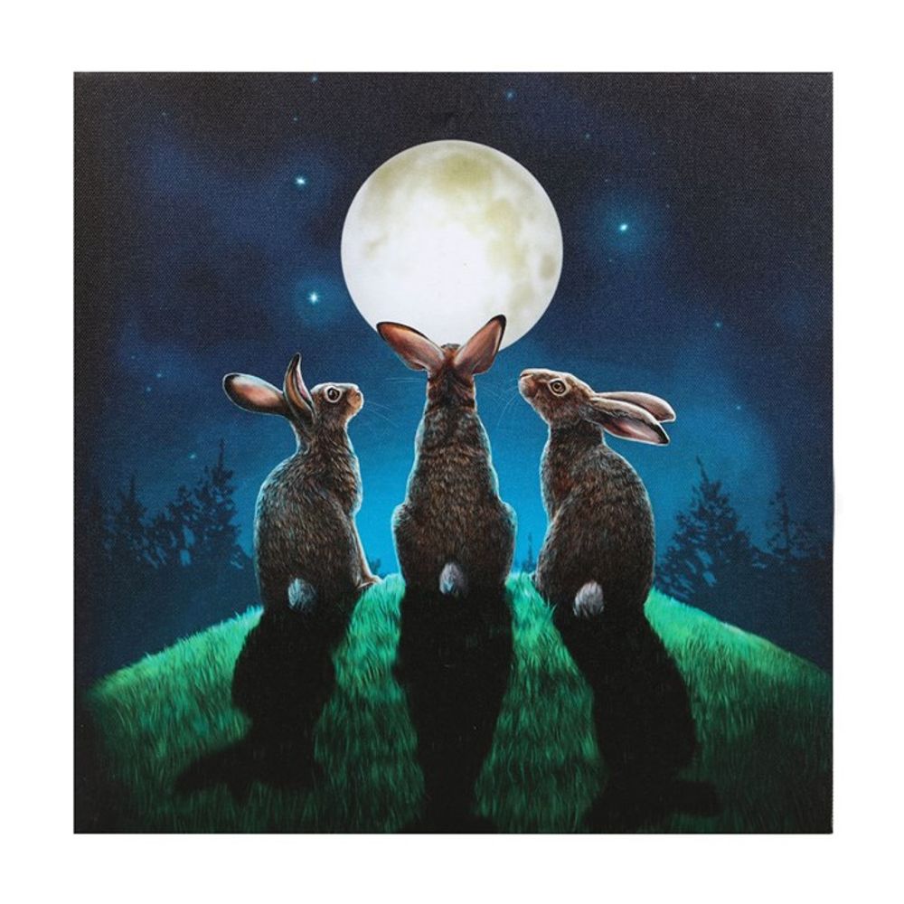 Moon Shadows Light Up Canvas Plaque by Lisa Parker N/A