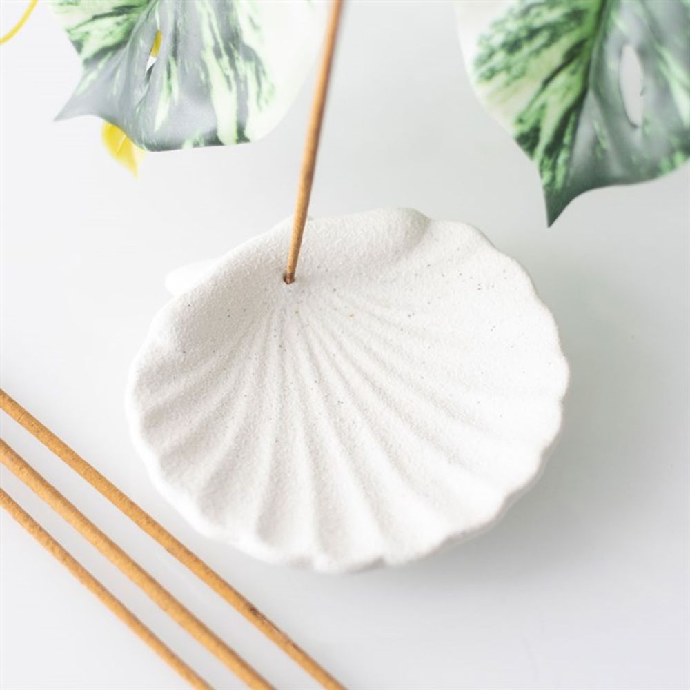 Off White Scallop Shell Incense Stick Holder N/A