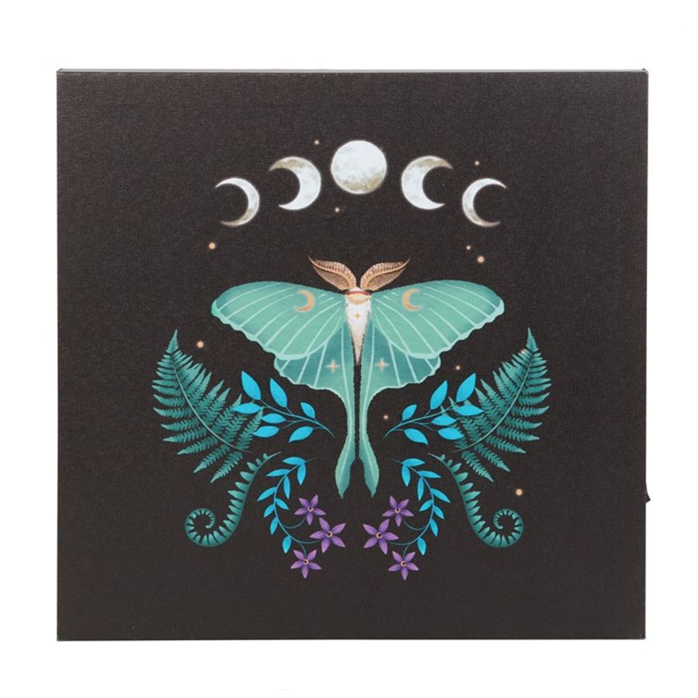 Luna Moth Light Up Canvas Plaque N/A