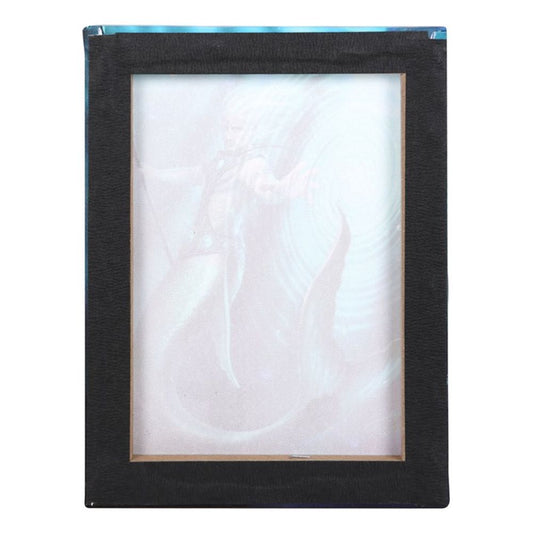 19x25cm Water Element Wizard Canvas Plaque by Anne Stokes N/A