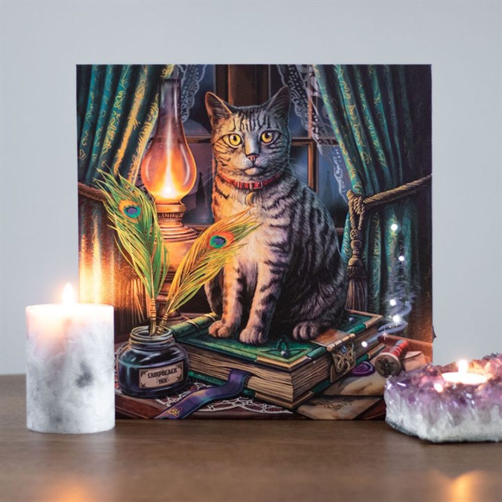 Book of Shadows Light Up Canvas Plaque by Lisa Parker N/A