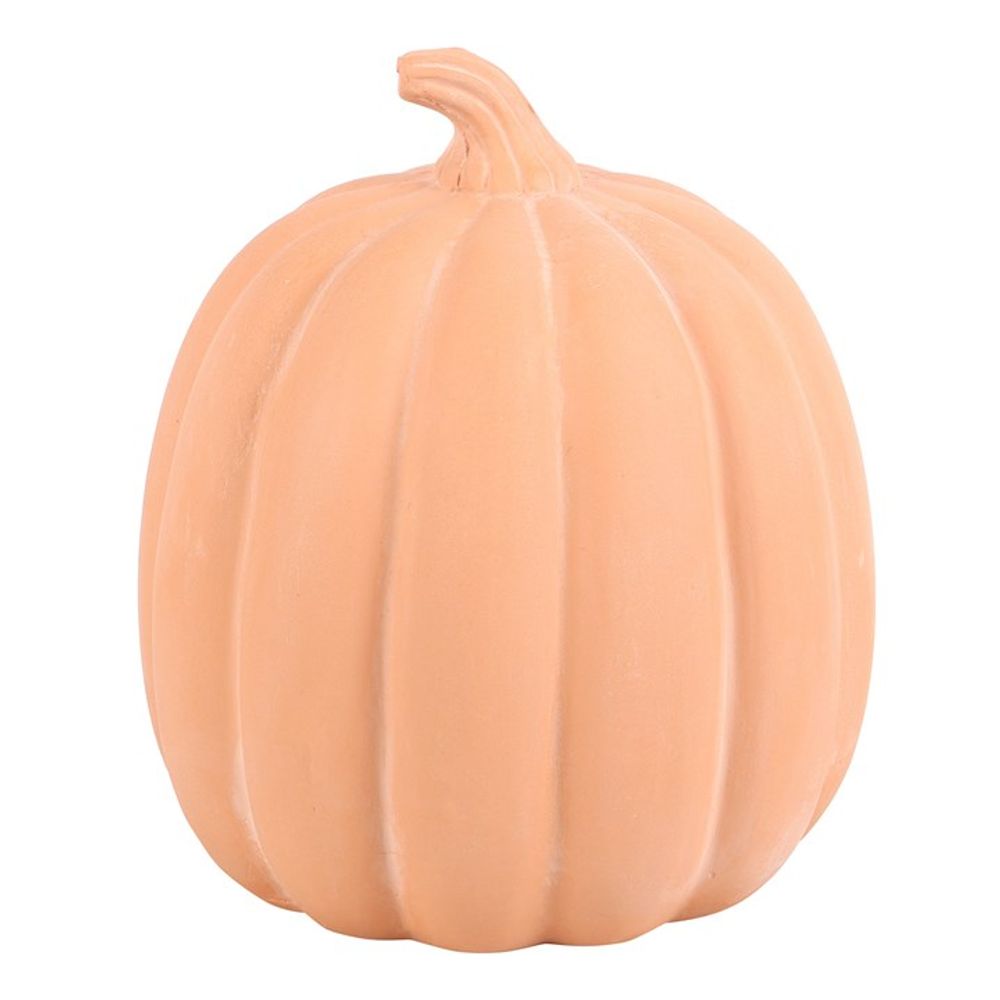 22cm Terracotta Pumpkin Ornament N/A