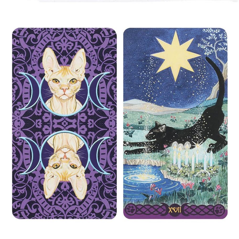 Pagan Cats Tarot Cards N/A