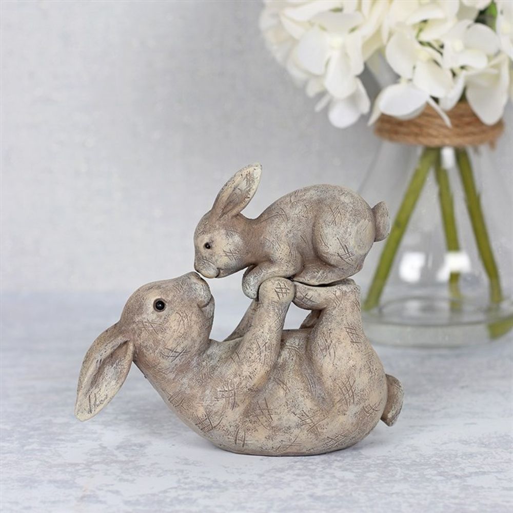 Some Bunny Loves You Ornament N/A