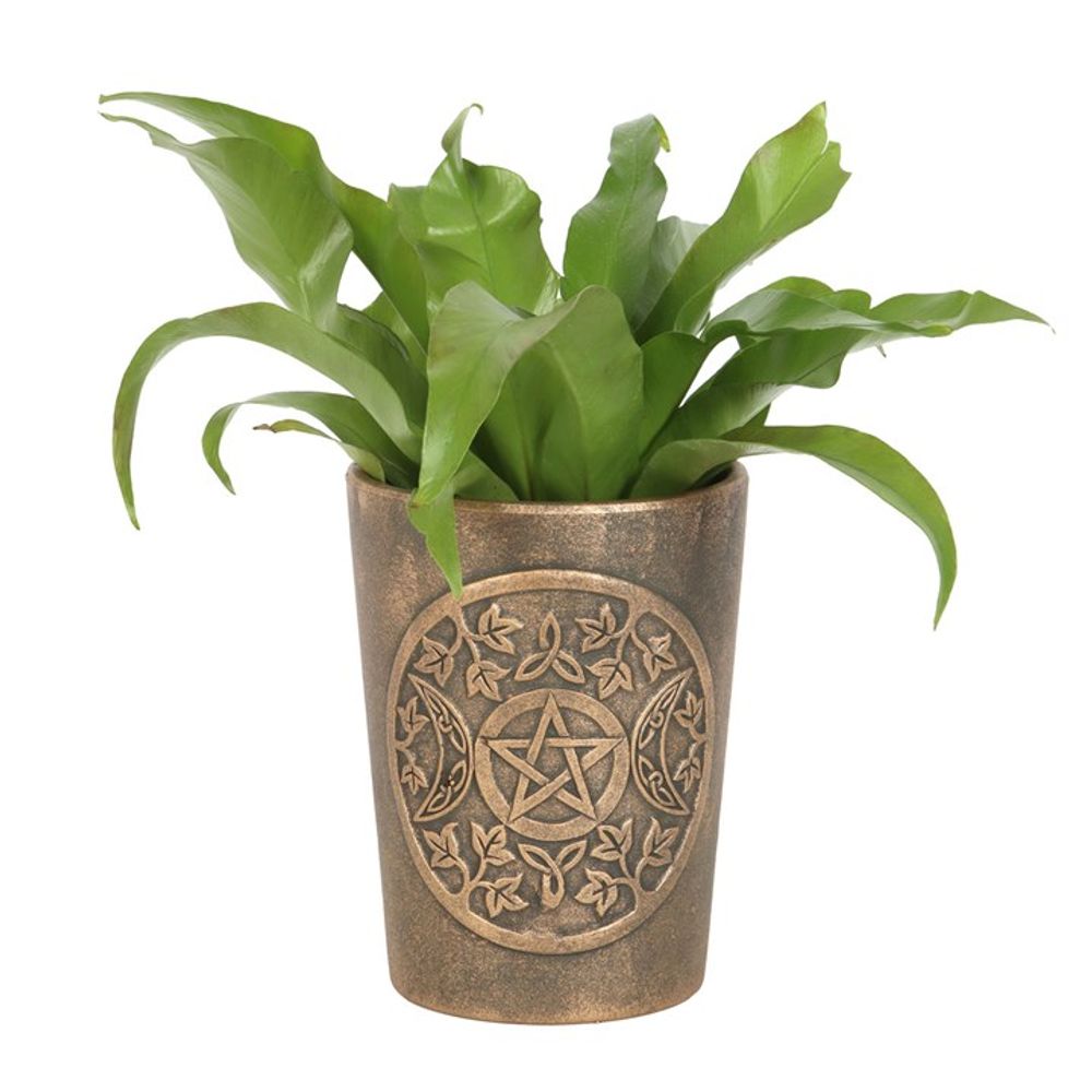 Triple Moon Bronze Terracotta Plant Pot by Lisa Parker N/A