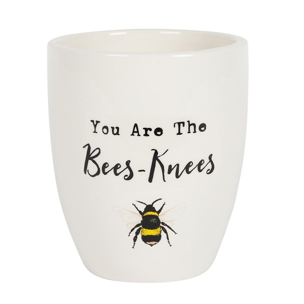 You Are the Bees Knees Ceramic Plant Pot N/A