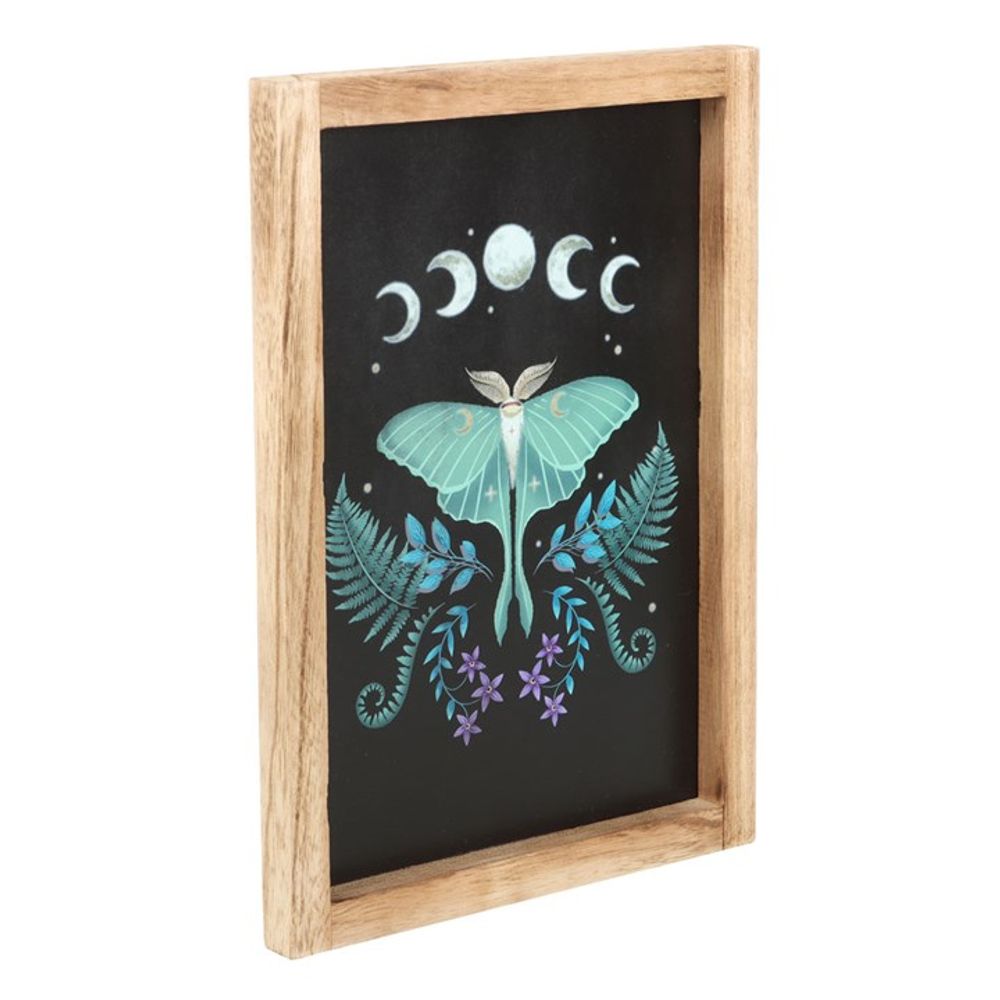 Luna Moth Wooden Framed Wall Art N/A