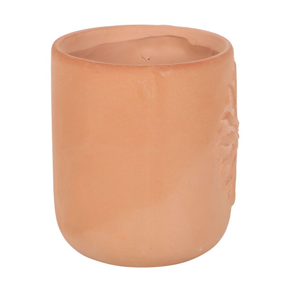 Terracotta Sun Plant Pot N/A