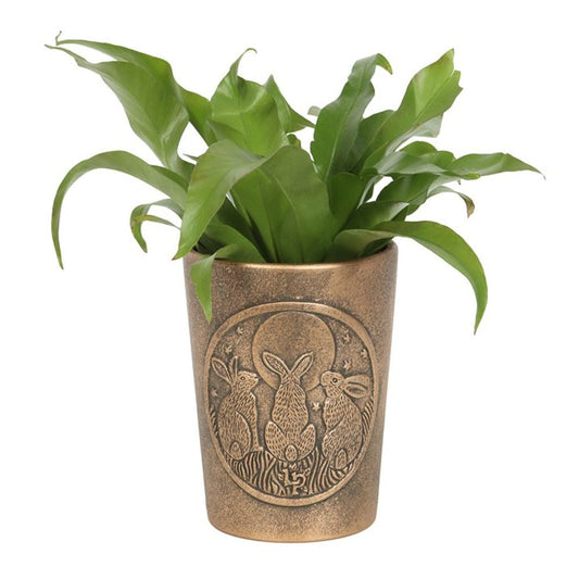 Moon Shadows Bronze Terracotta Plant Pot by Lisa Parker N/A