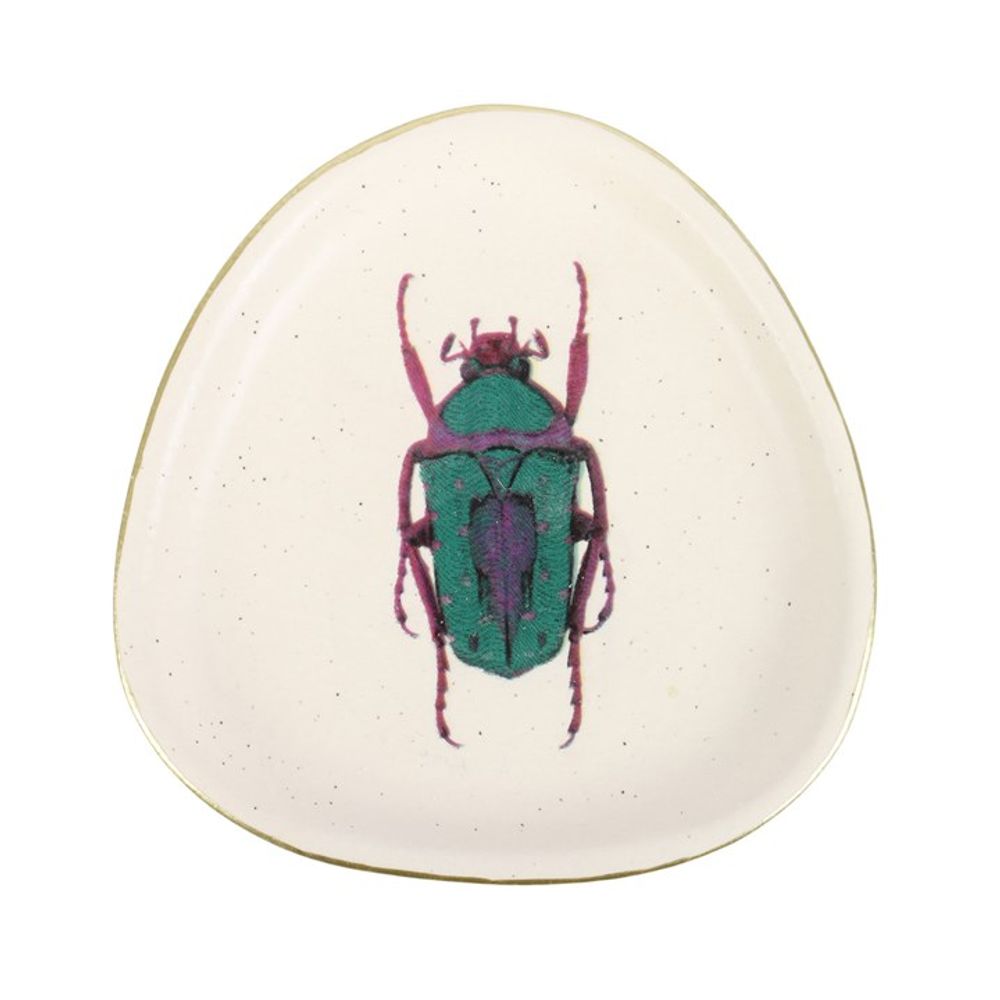 Off White Beetle Trinket Dish N/A